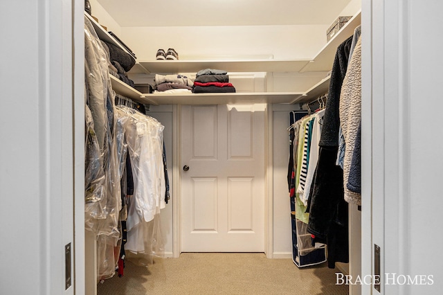 spacious closet with light carpet