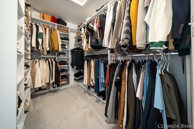 spacious closet with carpet