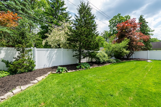 view of yard featuring a fenced backyard