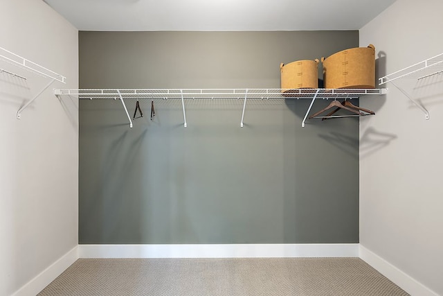 spacious closet featuring carpet floors