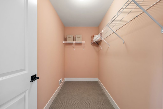 walk in closet featuring visible vents and carpet floors