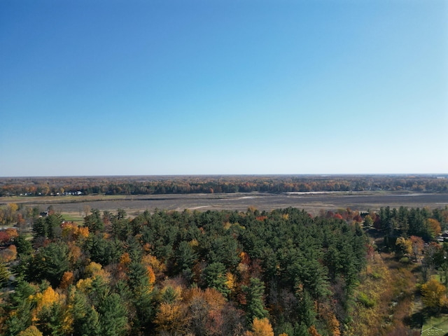 drone / aerial view featuring a view of trees