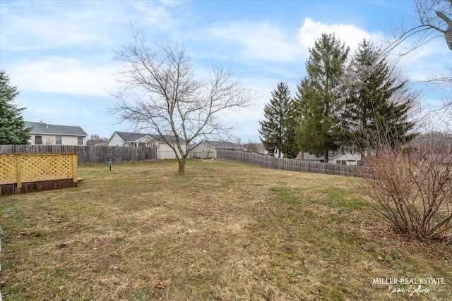 view of yard with a fenced backyard