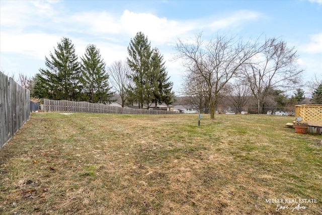 view of yard with a fenced backyard