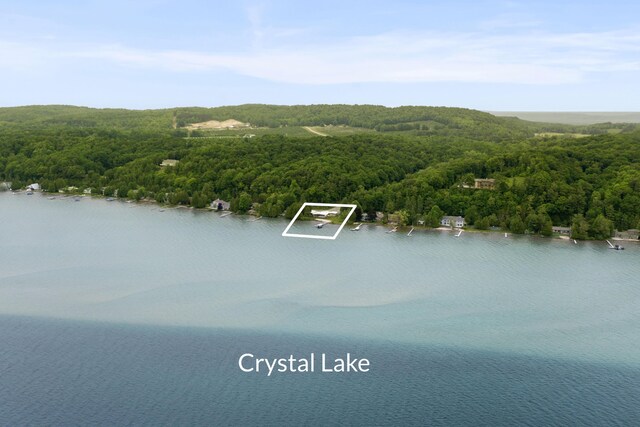 6863 Crystal Dr, Beulah, MI 49617 - aerial view of property and surrounding area with a forest and property boundaries highlighted