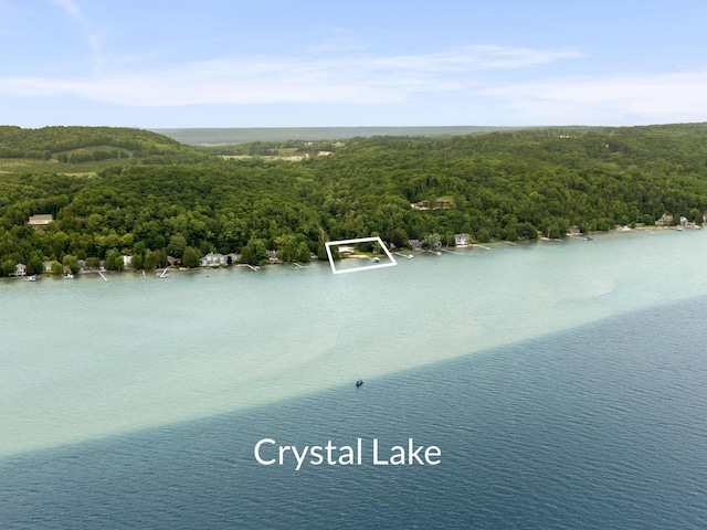 6863 Crystal Dr, Beulah, MI 49617 - aerial overview of property's location with a forest and property boundaries highlighted