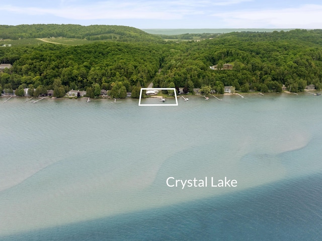 6863 Crystal Dr, Beulah, MI 49617 - aerial view of a nearby body of water