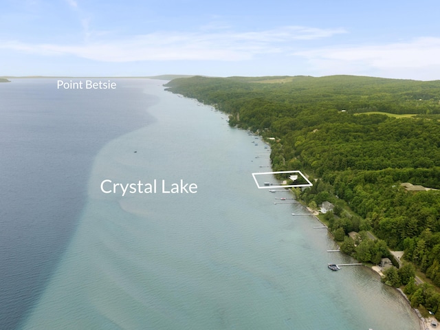 6863 Crystal Dr, Beulah, MI 49617 - aerial view of a large body of water