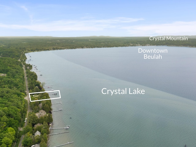 6863 Crystal Dr, Beulah, MI 49617 - water view featuring a forest