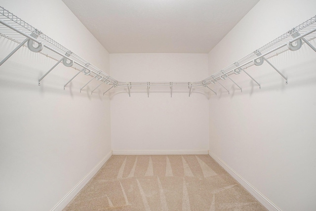 spacious closet featuring light colored carpet