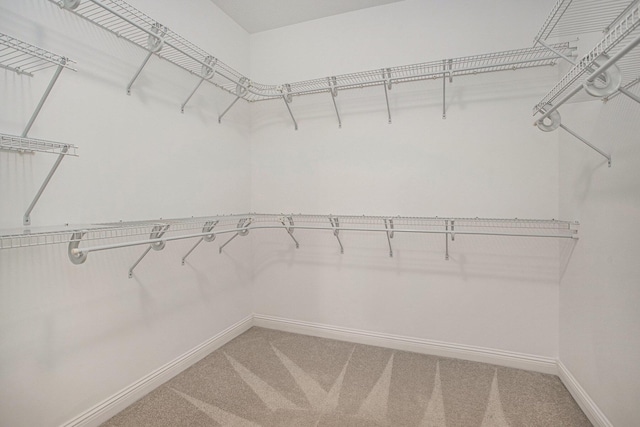 walk in closet with light colored carpet