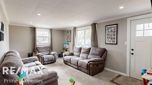 carpeted living area with ornamental molding, a healthy amount of sunlight, and baseboards