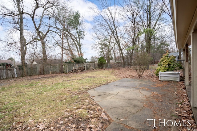 view of yard featuring a fenced backyard and a patio