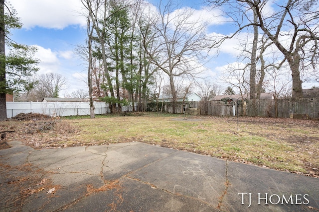 view of yard with a patio and a fenced backyard