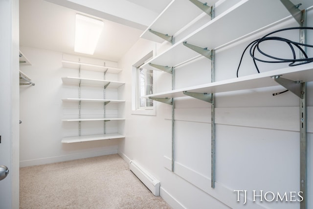 walk in closet featuring carpet and a baseboard radiator