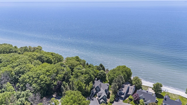 6059 Lakeshore Dr, West Olive, MI 49460 - aerial view with a water view and a residential view