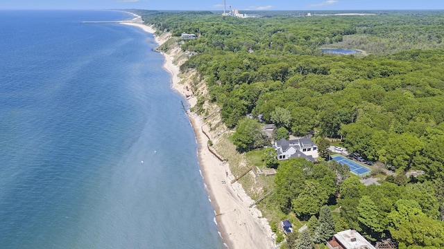 6059 Lakeshore Dr, West Olive, MI 49460 - drone / aerial view featuring a beach view, a water view, and a wooded view