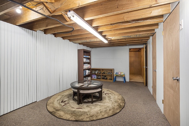 unfinished basement with carpet floors