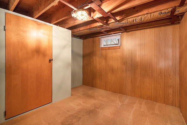 basement featuring carpet floors and wood walls