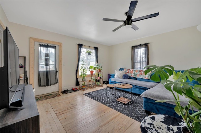 living area with ceiling fan and wood-type flooring