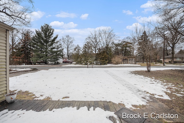 view of yard covered in snow