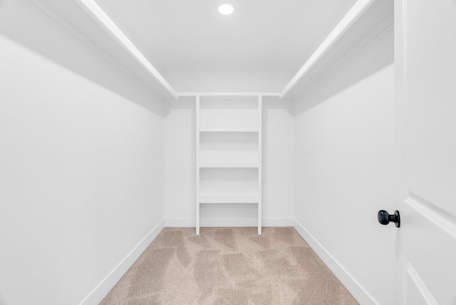 walk in closet featuring light carpet