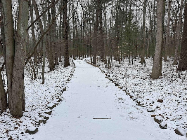 view of yard layered in snow