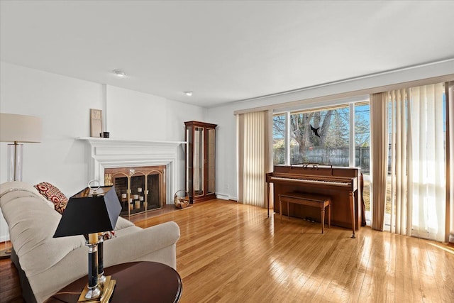 living area with wood-type flooring and a fireplace