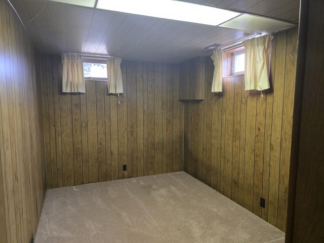 below grade area featuring a healthy amount of sunlight, wood walls, and carpet floors