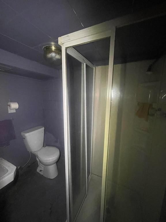 bathroom with toilet and a stall shower