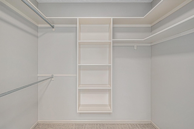 walk in closet with carpet flooring