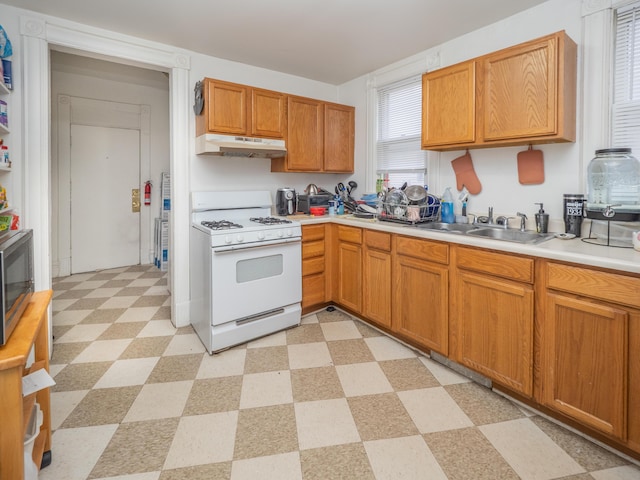 1020 S Park St, Kalamazoo, MI 49001 - kitchen with light floors, stainless steel microwave, a sink, white range with gas stovetop, and under cabinet range hood