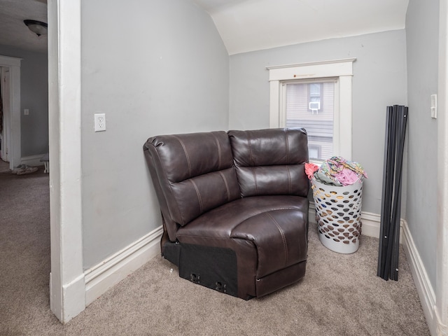 1020 S Park St, Kalamazoo, MI 49001 - living area with lofted ceiling, carpet flooring, and baseboards