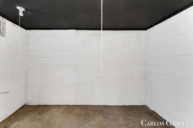 unfinished basement featuring concrete block wall