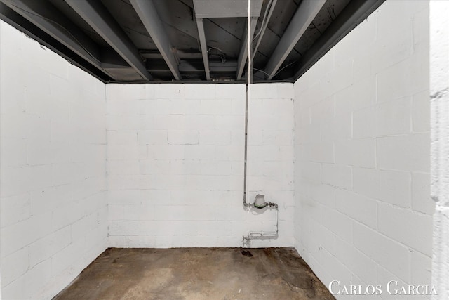 unfinished basement with concrete block wall