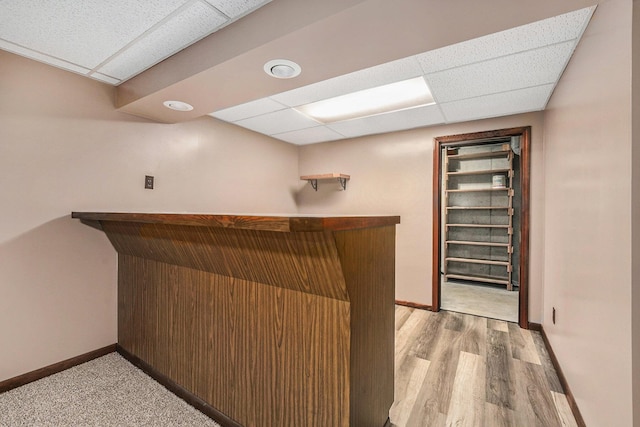 bar featuring a drop ceiling, light wood-style flooring, a bar, and baseboards