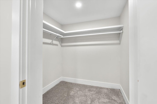 spacious closet with carpet flooring