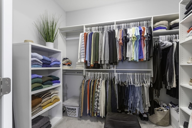 spacious closet featuring carpet floors