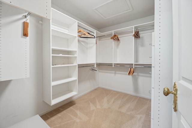 walk in closet featuring light carpet and attic access