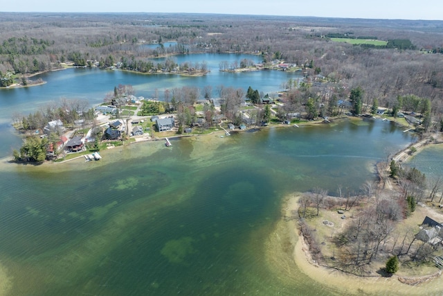 8581 Lynwood Ln, Mecosta, MI 49332 - photo 25