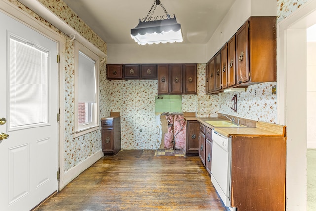 kitchen featuring wallpapered walls, dark wood finished floors, white dishwasher, light countertops, and a sink