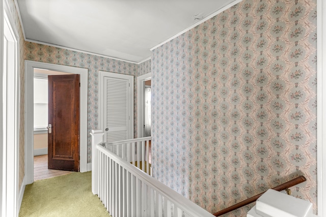 hall with carpet floors, ornamental molding, and wallpapered walls