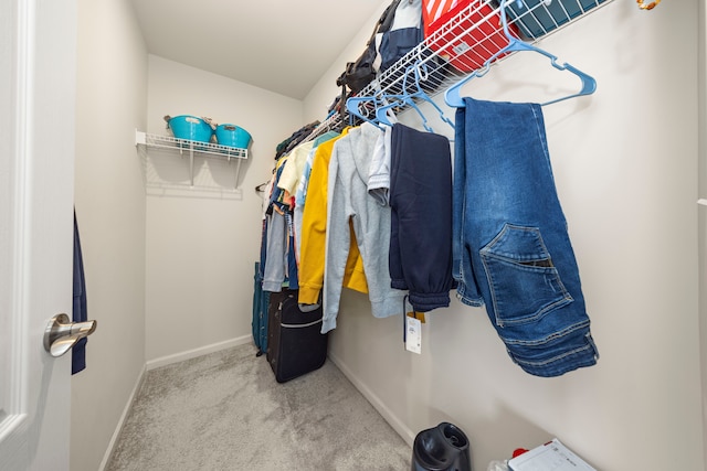 walk in closet with carpet floors