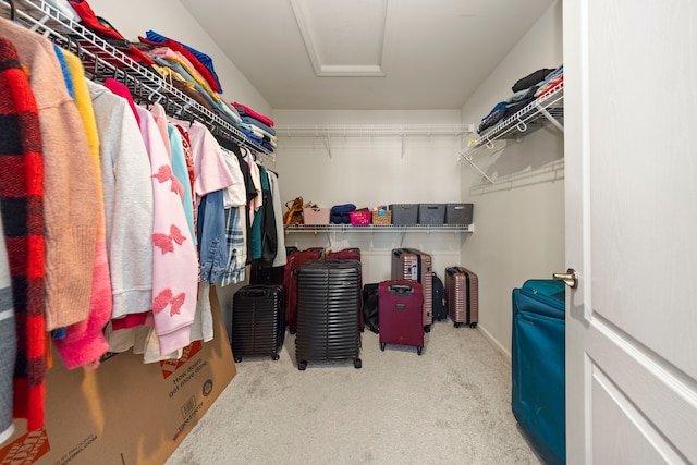 walk in closet with carpet flooring