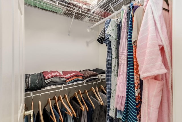 view of walk in closet