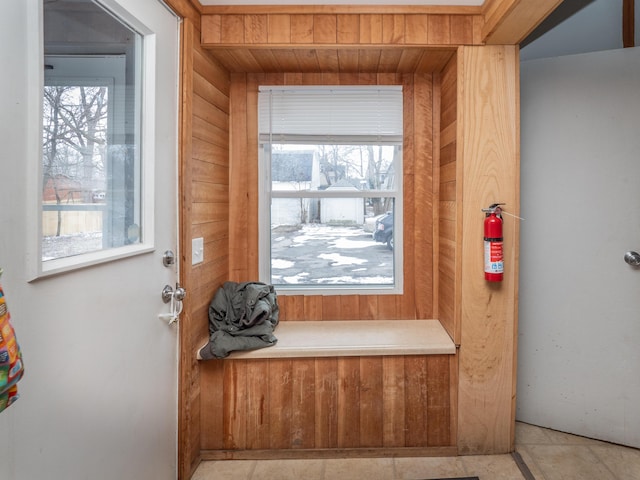 interior space featuring wood walls and a wealth of natural light