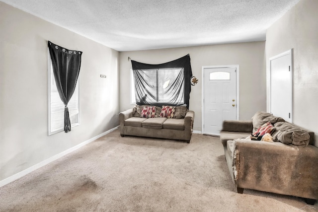 carpeted living room featuring baseboards and a textured ceiling