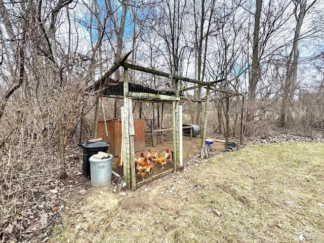 view of yard with an outbuilding and exterior structure