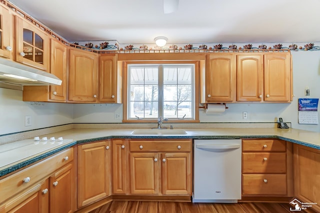 kitchen featuring glass insert cabinets, a sink, wood finished floors, white appliances, and under cabinet range hood