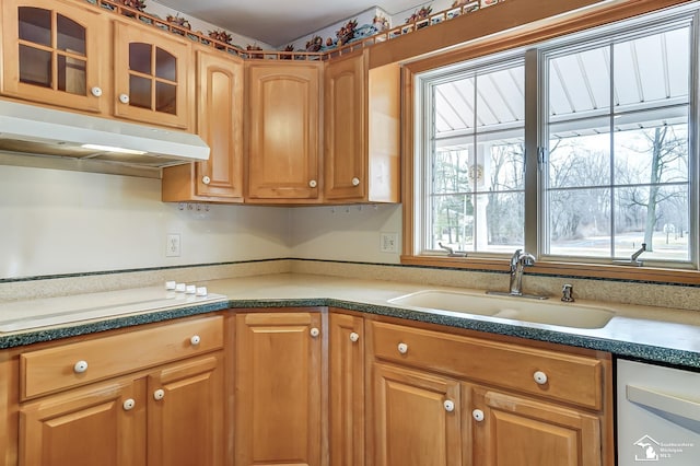 kitchen featuring glass insert cabinets, a sink, white cooktop, dishwasher, and under cabinet range hood